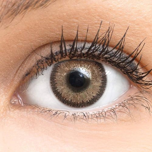 Lentilles De Couleur Marron Naturelles Colorées Très Haute Opacité Viola Brown + Étuis À Lentilles De Contact I 1 Paire(2 Pièces) I 90 Jours I Sans Correction I 0,00 Dioptries