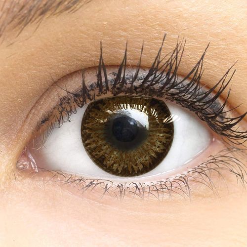 Lentilles De Couleur Marron Naturelles Colorées Très Haute Opacité Choco Brown + Étuis À Lentilles De Contact I 1 Paire(2 Pièces) I 90 Jours I Sans Correction I 0,00 Dioptries 