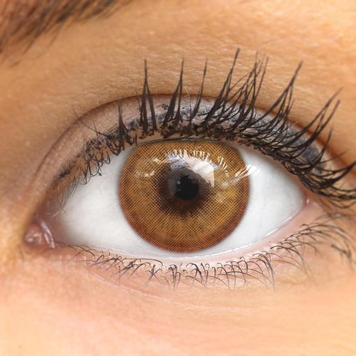 Lentilles De Couleur Marroni Naturelles Colorées Très Haute Opacité(Lugo Brown) + Étuis À Lentilles De Contact 1 Paire(2 Pièces) 90 Jours Sans Correction 0,00 Dioptries 