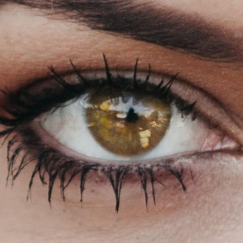 Lentilles De Couleur Marron Naturelles Colorées Très Haute Opacité New York Hazel + Étuis À Lentilles De Contact I 1 Paire(2 Pièces) I 90 Jours I Sans Correction I 0,00 Dioptries 