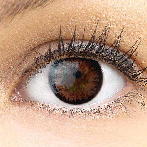 Lentilles De Couleur Marron Naturelles Colorées Très Haute Opacité Siena Choco + Étuis À Lentilles De Contact | 1 Paire(2 Pièces) | Dia 14,20 | Sans Correction | 0,00 Dioptries 