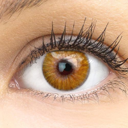 Lentilles De Couleur Marron Naturelles Colorées Très Haute Opacité Verona Hazel + Étuis À Lentilles De Contact | 1 Paire(2 Pièces) | Dia 14,20 Mm | Sans Correction | 0,00 Dioptries