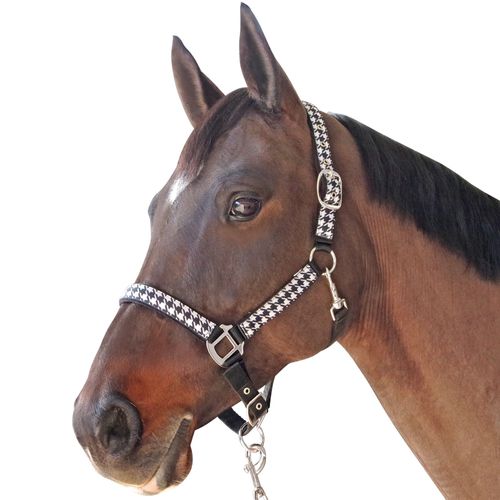 Set Licol + Longe Pied De Poule Canter Taille Poney