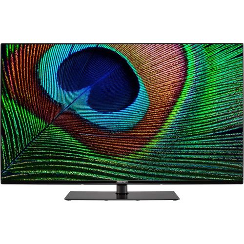 MEDION X14355 (MD 31476) - 43" - TV 108 cm