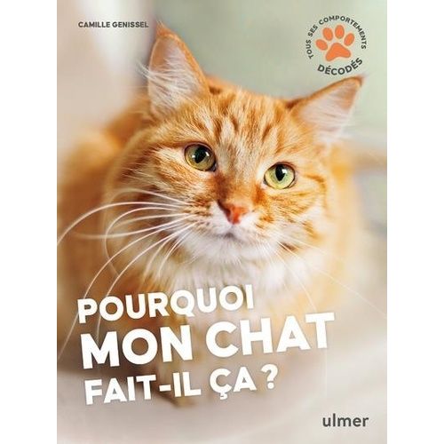 Pourquoi Mon Chat Fait-Il Ça ?