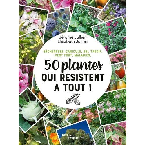 50 Plantes Qui Résistent À Tout ! - Sécheresse, Canicule, Gel Tardif, Vent Fort, Maladies