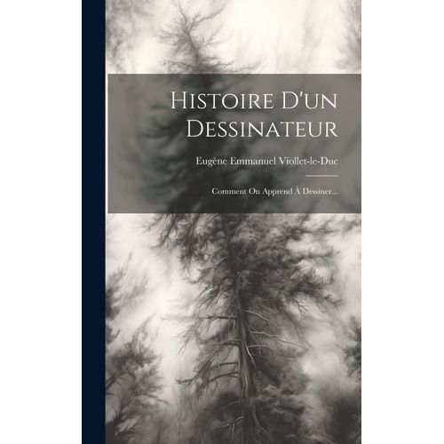 Histoire D'un Dessinateur