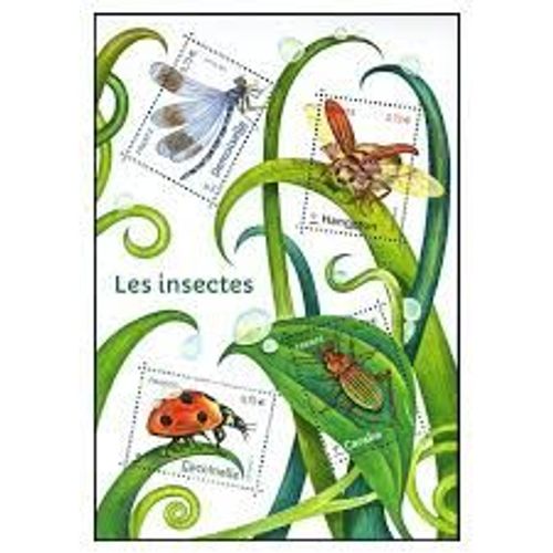 Série Nature De France (31) : Insectes De Nos Jardins Feuillet 5148 Année 2017 N° 5147 5148 5149 5150 Yvert Et Tellier Luxe