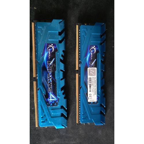 2 barrettes de mémoire G.SKILL RIPJAWS4