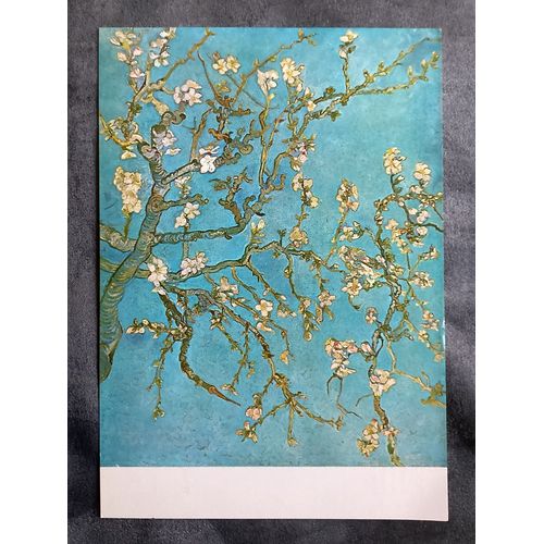 Carte Postale Vincent Van Gogh / Rameau D’Amandier En Fleurs