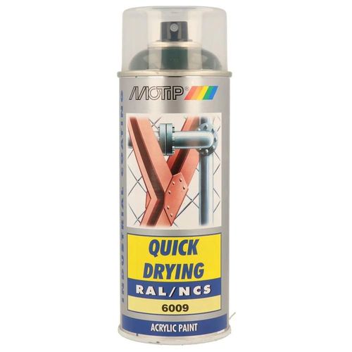 Peinture vert brillant RAL6009 400ml