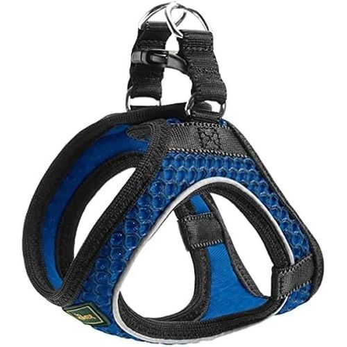 Hunter Pour Chien Bleu