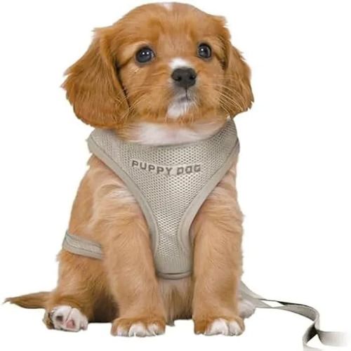 Harnais Pour Chiots - Trixie - Junior - Rembourré - Réglable - Laisse Incluse