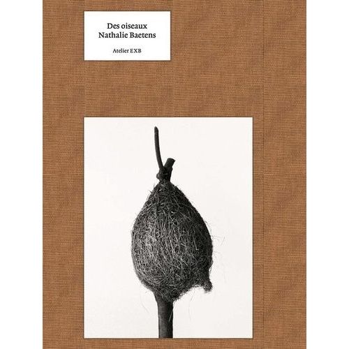 Des Oiseaux