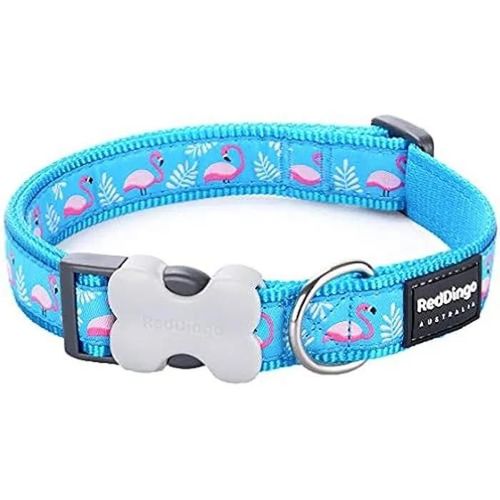 Collier Pour Chien - Red Dingo - Flamant Turquoise - 20mm - 31-47cm - Nylon Résistant