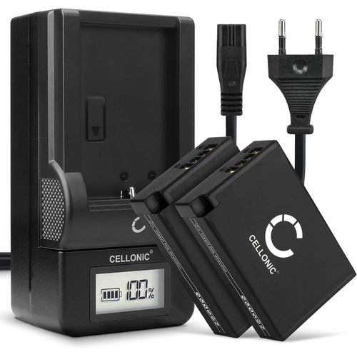2X Batterie Remplacement LP-E17 950mAh pour Canon EOS 750D EOS 760D EOS 770D EOS 800D EOS Kiss X8i EOS M3 EOS M5 EOS M6 EOS Rebel T6i + Chargeur Appareil Photo caméra Action cam accu