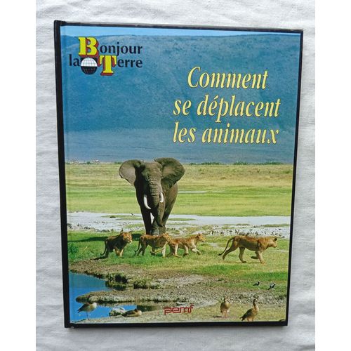 Michel Barré, Comment Se Déplacent Les Animaux ? Editions Mango / Editions Pemf, 1993