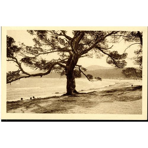 Carte Postale Bormes-Les-Mimosas, La Plage De La Favière