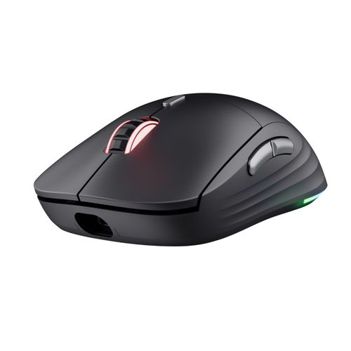 Trust Gaming GXT 926 Redex II Souris Gamer sans Fil Rechargeable 2.4GHz, 65H batterie, Switch Kailh, 10000 DPI, Souris Gaming RGB