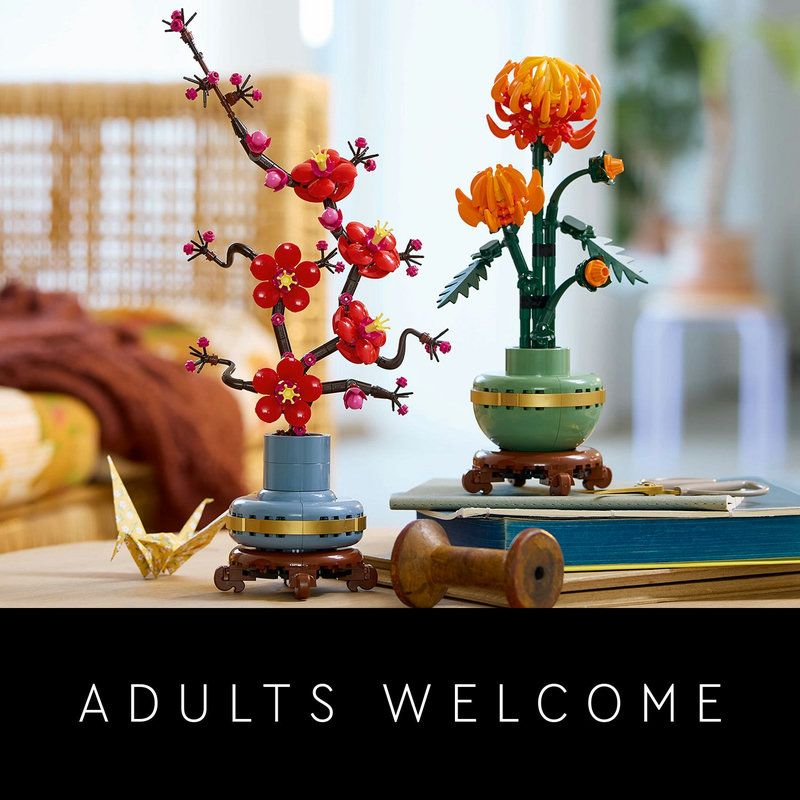 Sets de construction cratifs pour adultes