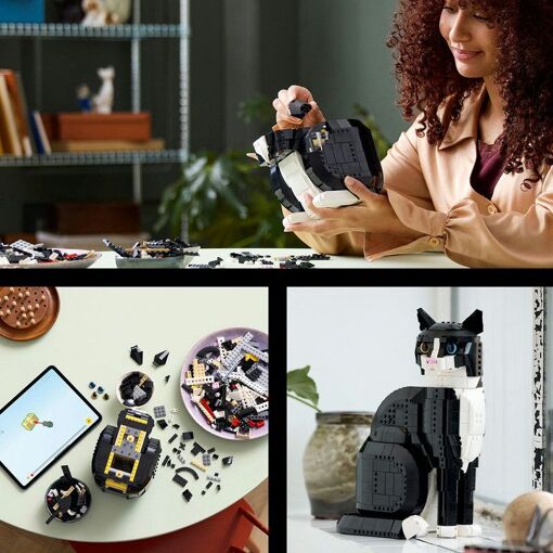 Une exp�rience cr�ative immersive et joyeuse