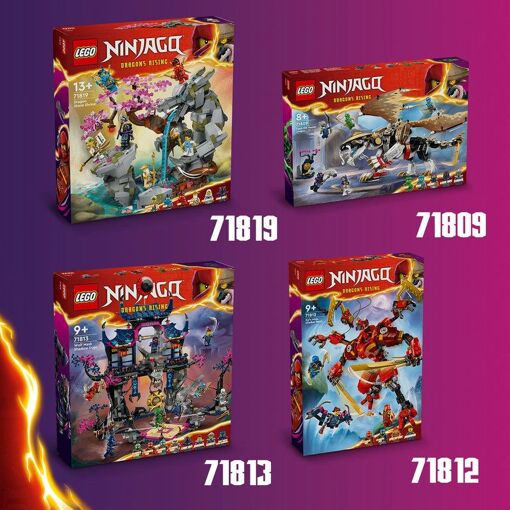 D'autres sets LEGO® NINJAGO® à collectionner