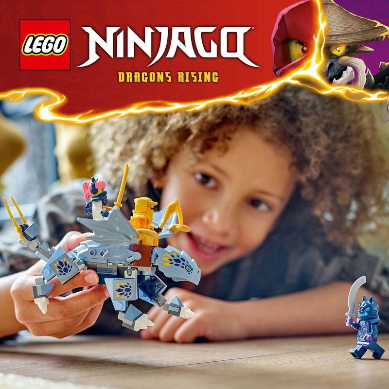 Mod�le de dragon LEGO� NINJAGO�