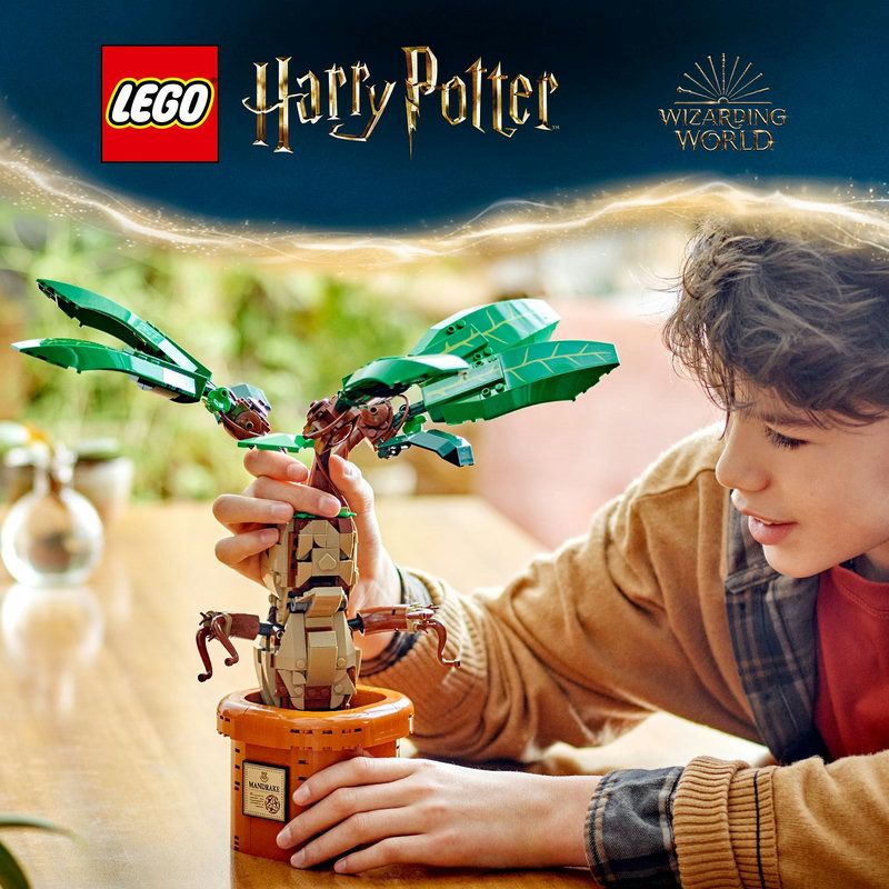 Mandragore LEGO� Harry Potter� pour enfants