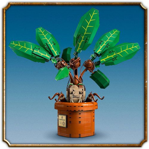 Plante articul�e