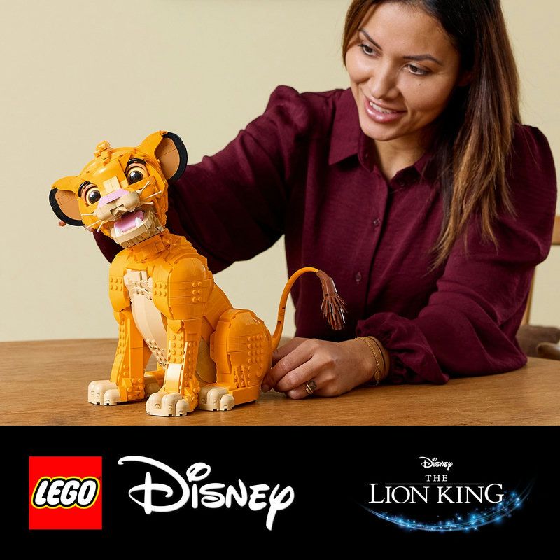 Set cr�atif pour les fans du Roi Lion