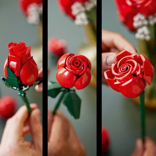 3 stades de floraison