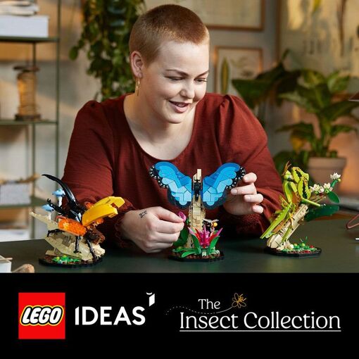 Mod�les grandeur nature de 3�insectes magnifiques