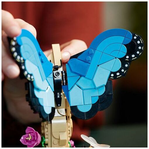 Papillon morpho bleu