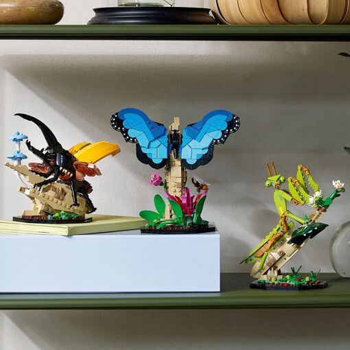 Un superbe cadeau pour les passionn�s de nature