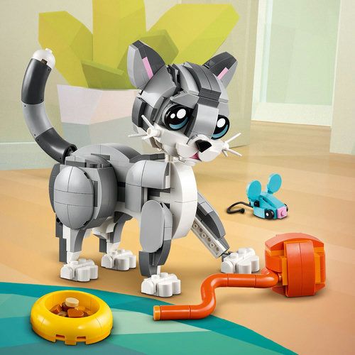 Accessoires pour chat amusants