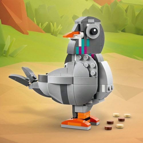 Adorable pigeon