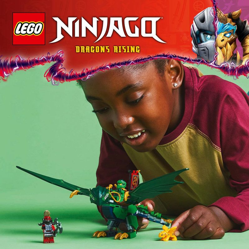 Mod�le de dragon LEGO� NINJAGO�