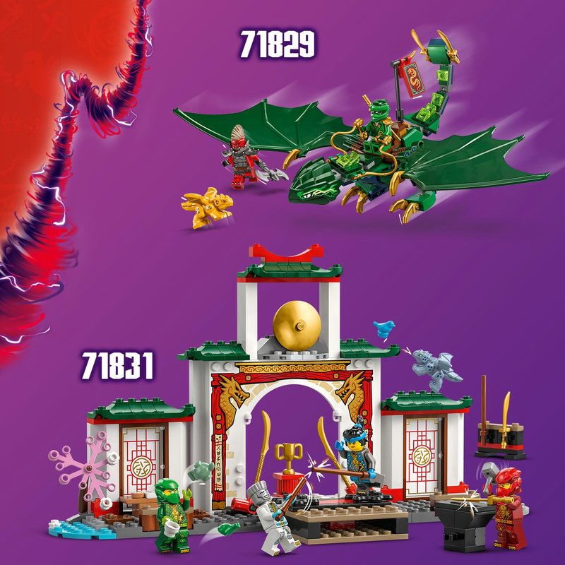 Un cadeau pour les fans de ninjas et de dragons