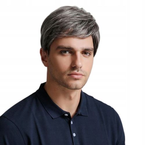 Perruque Synthétique Courte Grise Pour Homme, 25 Cm, Idéale Pour Un Costume De Fête