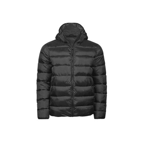 Doudoune À Capuche Homme Tee Jays En Polyester Recyclé Noir