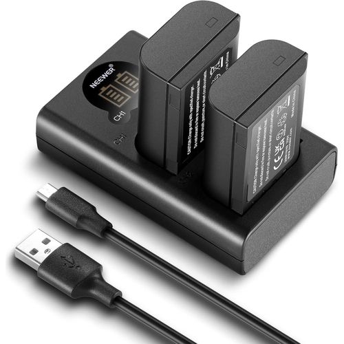 NEEWER DMW-BLK22 Lot de 2 Batteries de Rechange 2400 mAh et Chargeur USB Type C à Deux canaux compatibles avec Panasonic Lumix DC-S5 DC-S5 II DC-S5 IIX GH5 II GH6 S5II S5M2 GH5M2 GH5M2