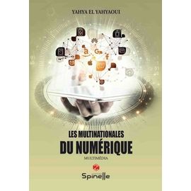 Les Multinationales Du Numérique