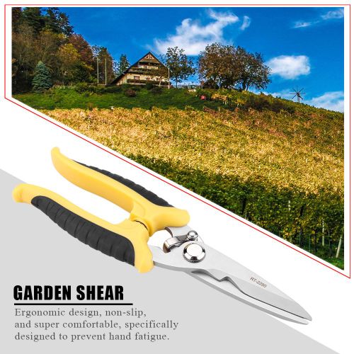 Secateur en acier inoxydable de 8 pouces, coupe-branches, ciseaux pour plantes de jardinage a domicile, outil a main