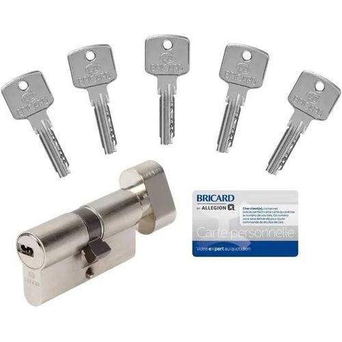 Cylindre Barillet BRICARD Européen + 5 Clefs Sécurités + Carte