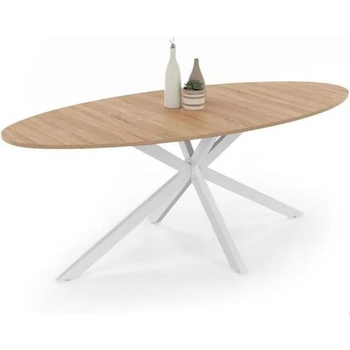 Table À Manger Ovale - Non Spécifié - 200 Cm - 10 Personnes - Bois Et Métal - Design Contemporain
