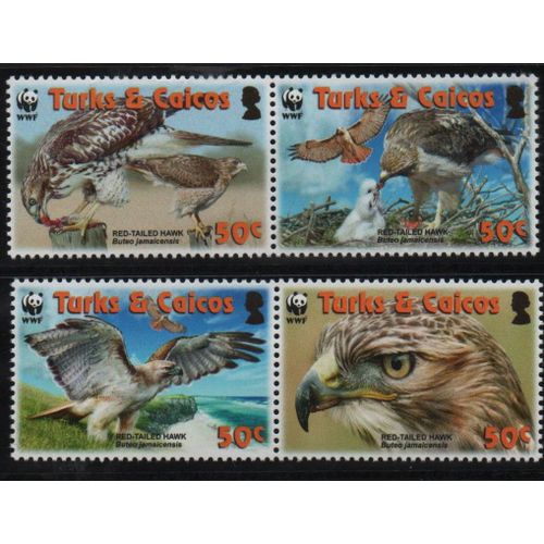 Iles Turks Et Caïques ( Antilles ) Timbres Les Oiseaux De Proie 2007