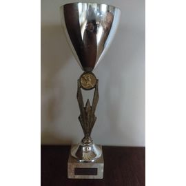 COUPE TROPHEE - HAUTEUR 36 CM