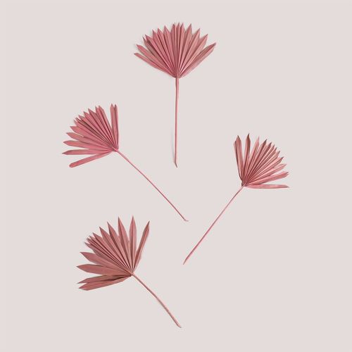 Lot De 4 Branches Séchées Décoratives Urpek Rose Peonia