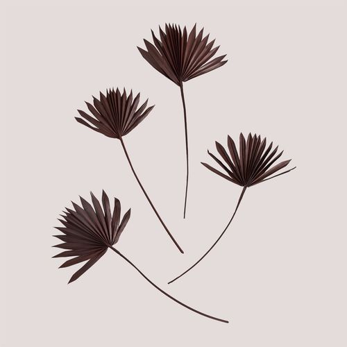 Lot De 4 Branches Séchées Décoratives Urpek Brun Café