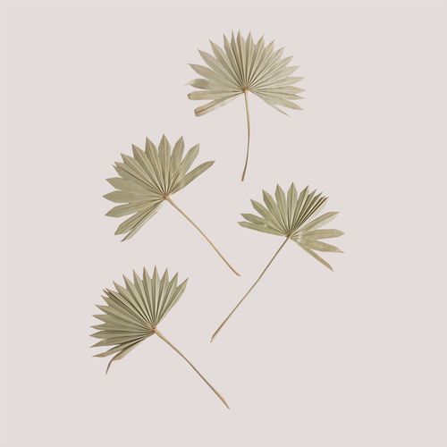 Lot De 4 Branches Séchées Décoratives Urpek Vert Bambou